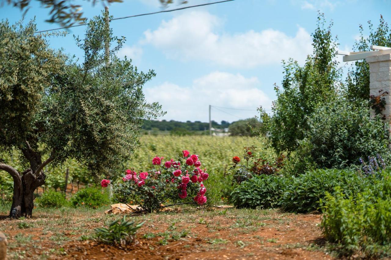 הוילה מרטינה פרנקה Trulli Audendum מראה חיצוני תמונה